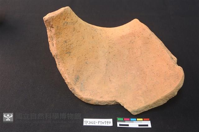陶片藏品圖，第3張