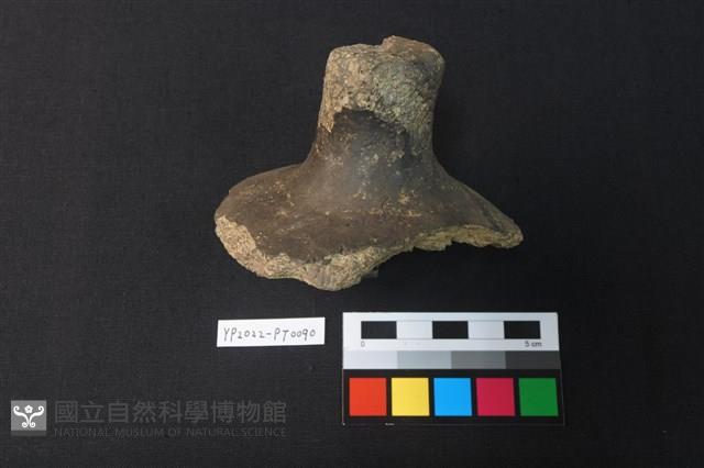 覆碗型陶蓋藏品圖，第3張