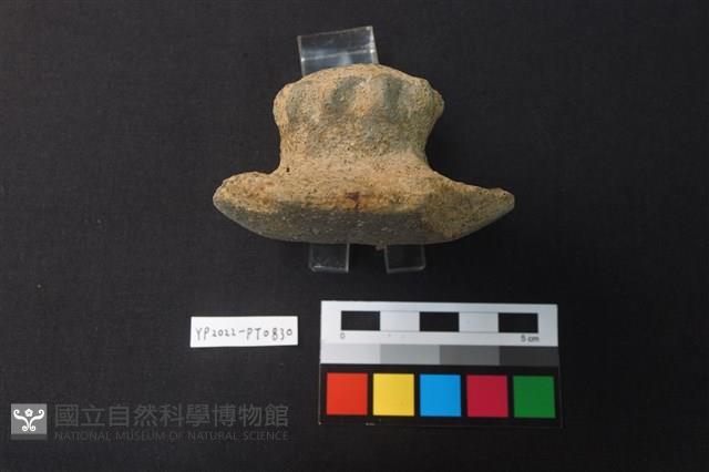 蓋鈕藏品圖，第3張