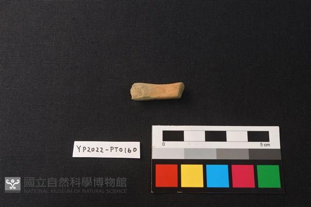 陶環藏品圖，第3張
