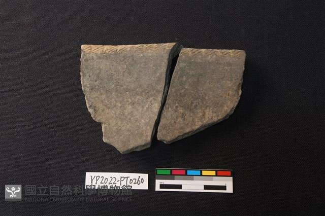 陶片藏品圖，第3張