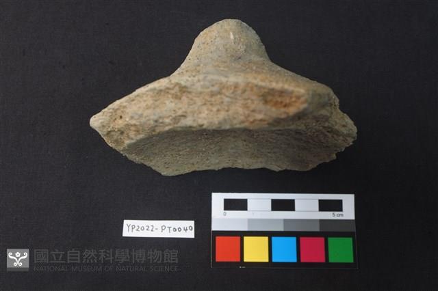 覆碗型陶蓋藏品圖，第3張