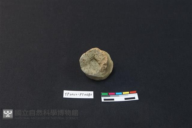 陶鈕藏品圖，第3張