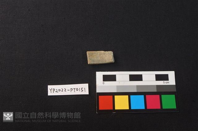 陶環藏品圖，第3張