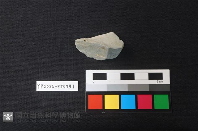 陶片藏品圖，第3張