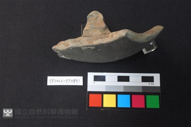 陶蓋鈕藏品圖，第3張