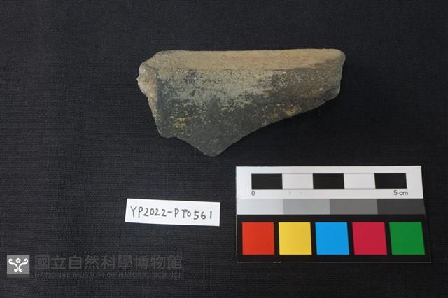 陶片藏品圖，第3張