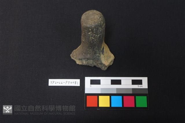 覆碗型陶蓋藏品圖，第3張