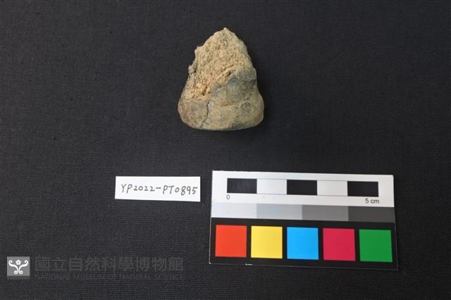 陶鈕藏品圖，第3張