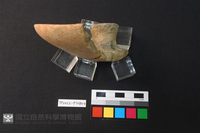 蓋鈕藏品圖，第3張