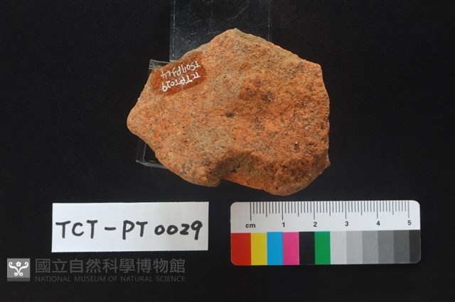 陶蓋鈕藏品圖，第3張