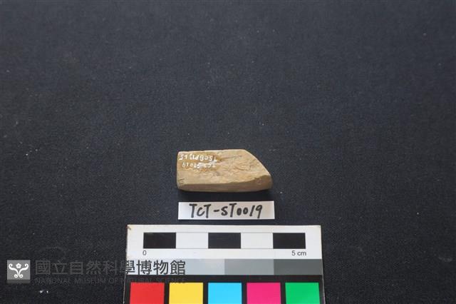 錛鑿形器藏品圖，第3張