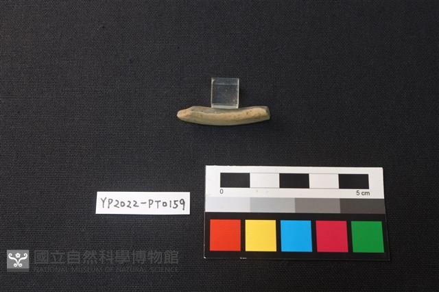 陶環藏品圖，第3張