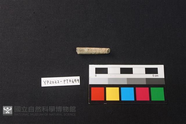 陶環藏品圖，第3張