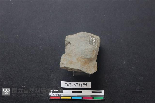 斧鋤形器藏品圖，第3張