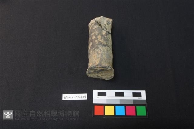 獸形陶足藏品圖，第3張