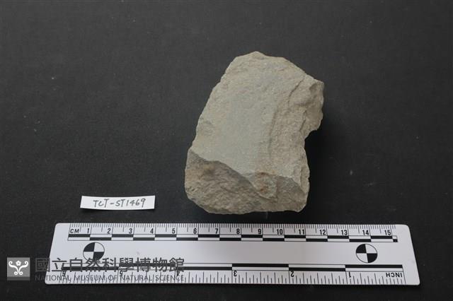 磨製斧鋤形器藏品圖，第3張