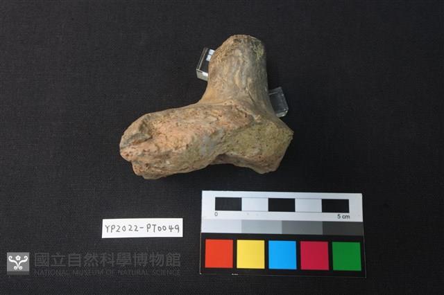 覆碗型陶蓋藏品圖，第3張
