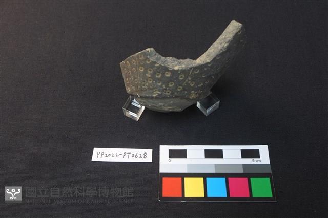 陶片藏品圖，第3張