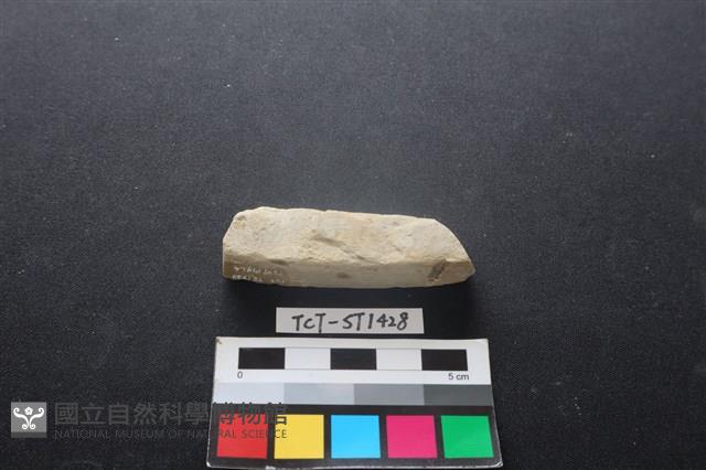 錛鑿形器藏品圖，第3張