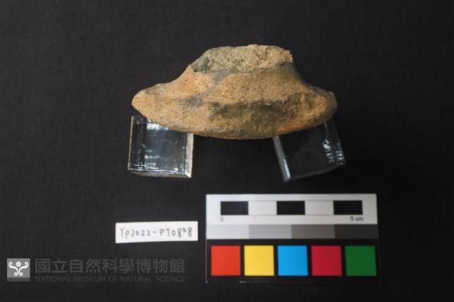 陶蓋藏品圖，第3張