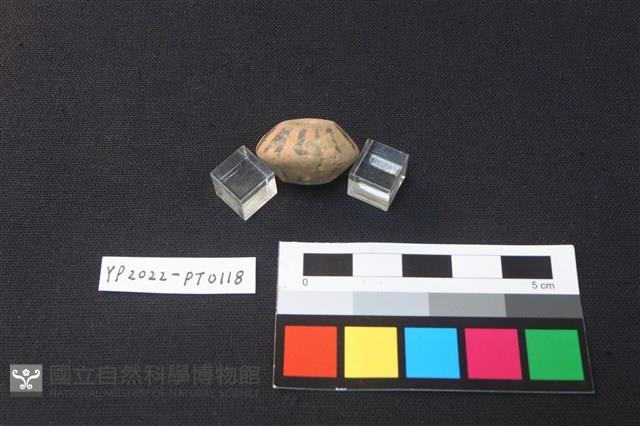 陶紡輪藏品圖，第3張