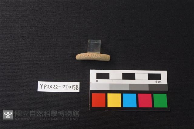 陶環藏品圖，第3張