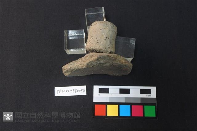 覆碗型陶蓋藏品圖，第3張