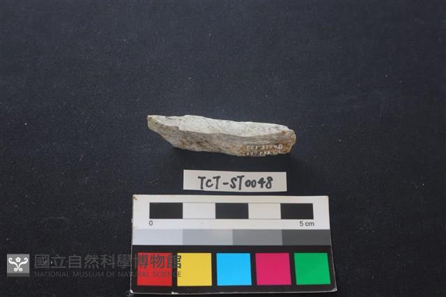 錛鑿形器藏品圖，第3張