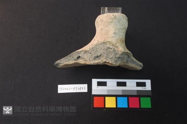 蓋鈕藏品圖，第3張