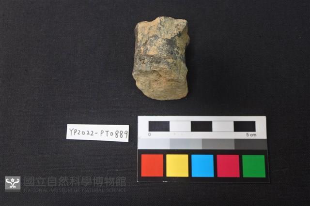 陶鈕藏品圖，第3張
