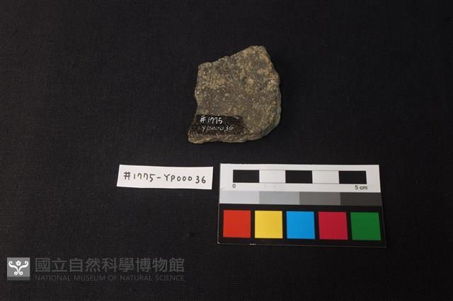陶片藏品圖，第2張