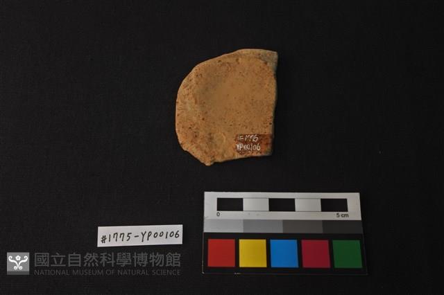 陶片藏品圖，第2張