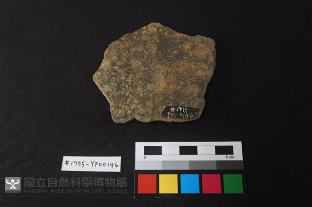 陶片藏品圖，第2張