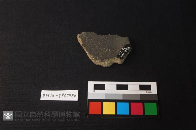 陶片藏品圖，第2張