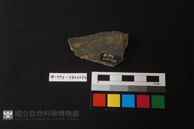 陶片藏品圖，第2張