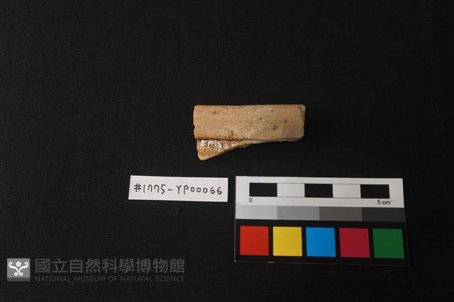 陶片藏品圖，第2張