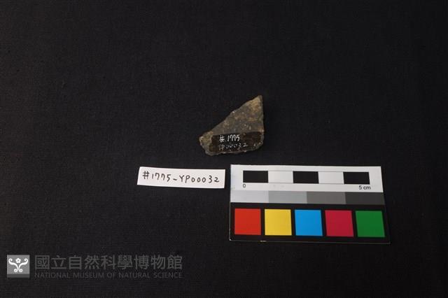 陶片藏品圖，第2張