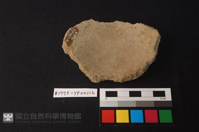 陶片藏品圖，第2張