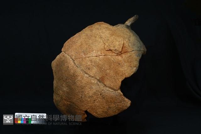 陶罐藏品圖，第2張