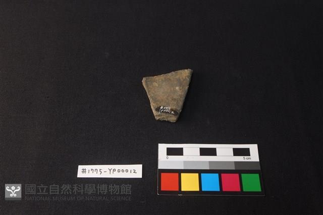 陶片藏品圖，第2張