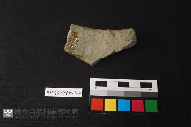 陶片藏品圖，第2張
