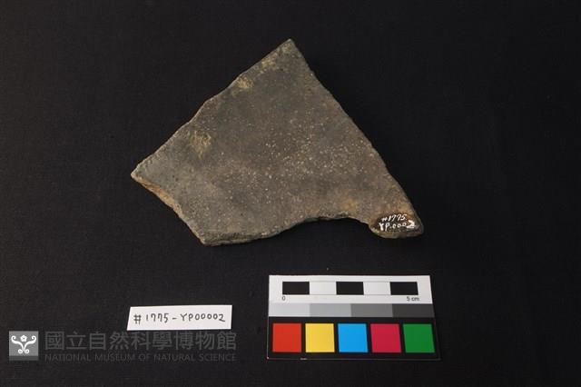 陶片藏品圖，第2張