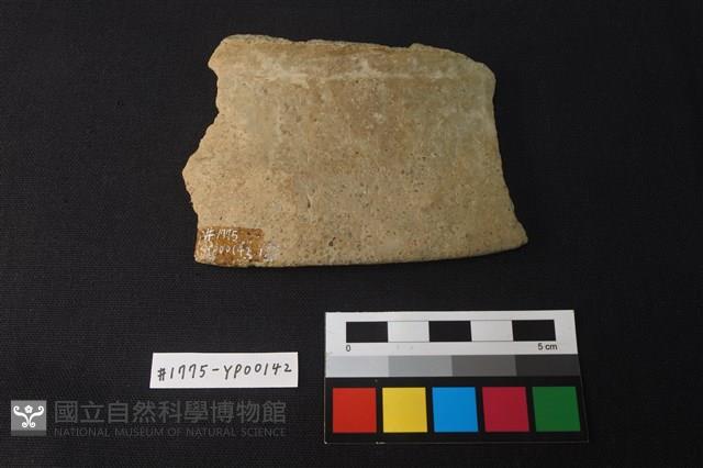 陶片藏品圖，第2張