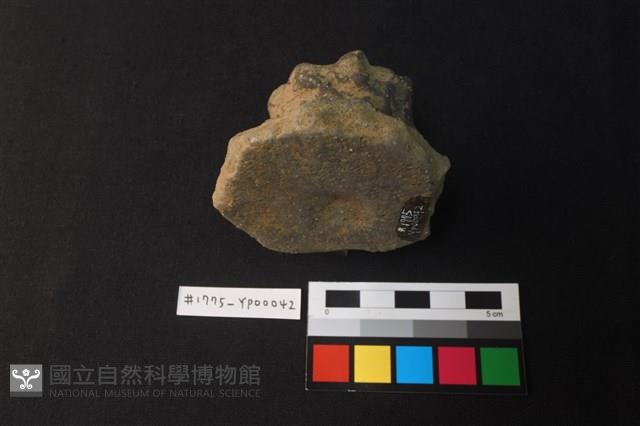 陶蓋把藏品圖，第2張