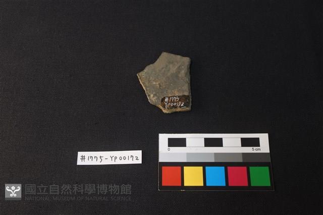 陶片藏品圖，第2張