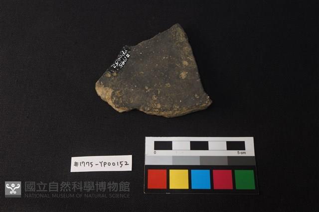 陶片藏品圖，第2張