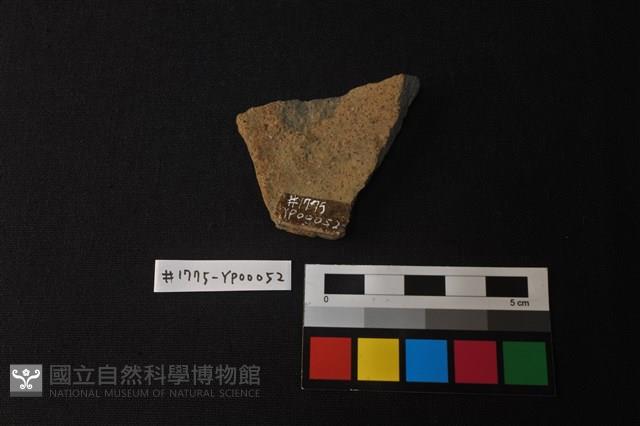 陶片藏品圖，第2張