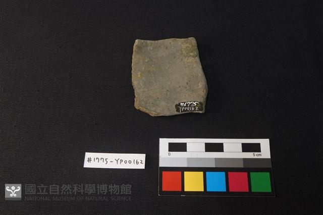 陶片藏品圖，第2張