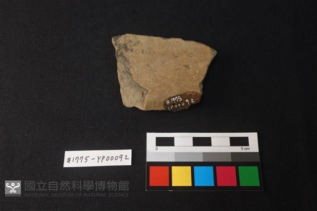 陶片藏品圖，第2張